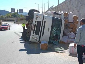 Amasya’da Saman Yüklü Kamyon Devrildi