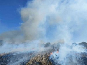 Antalya’da Anız Yangını İtfaiye Ekiplerine Zor Anlar Yaşattı