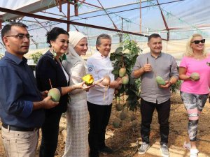 Alanya’da Tropikal Hasat Şöleni