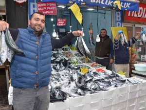 Karadeniz’de Palamut Bereketi: 3 Tanesi 100 Tl