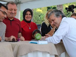 Alanya’nın En Ağır Avokadosu 610 Gramla Ödülü Aldı