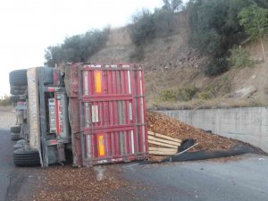 Manisa’da Talaş Yüklü Tır Devrildi: 1 Yaralı