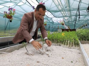 Seralar Hem Belediyenin Hem De Vatandaşın İhtiyacını Karşılıyor