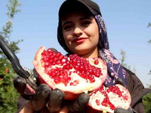 Fiyatı Yüzde Yüz Artan Nar Yüz Güldürüyor