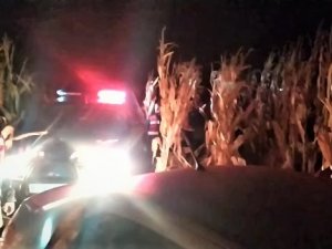 Emlakçıdan Çalınan Otomobil Ve Bilgisayarlar Tarladaki Mısırların Arasında Bulundu