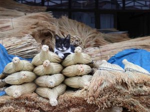 Binbir Emekle Üretiliyor, 50 Liraya Satılıyor
