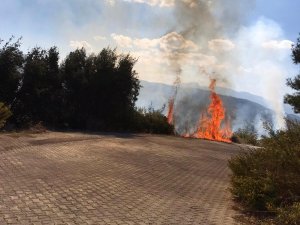 Temizlik Amaçlı Yakılan Çalılar Tehlikeye Davetiye Çıkardı