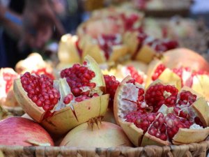 Gazipaşa’nın En Ağır Çekirdeksiz Narı Belli Oldu