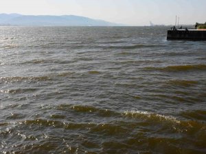 İ̇zmit Körfezi’nde Renk Değişikliği