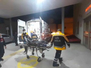 Kaçak Göçmenler Yol Kenarında Bulundu
