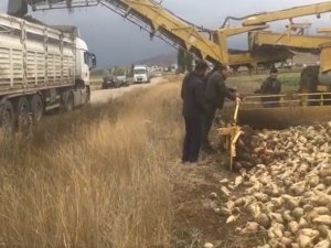 Bayburt’ta Bu Yıl Hedeflenen Şeker Pancarı Üretimi 100 Bin Ton