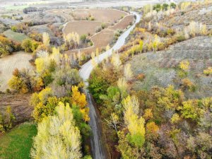 Sonbahardan Kışa Geçişte Renk Cümbüşü Oluşturan Ağaçlar Farklı Güzelliğe Büründü