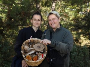 Türkiye’nin Mantar Avcıları Bursa’da Buluştu