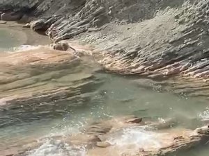 Koruma Altındaki Su Samuru Balık Avlarken Görüldü