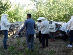 Van’da Davullu Zurnalı Bal Hasadı