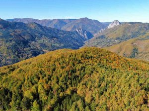 Küre Dağları’nda Sonbahar Manzarası: Renk Cümbüşü İle Hayran Bırakıyor