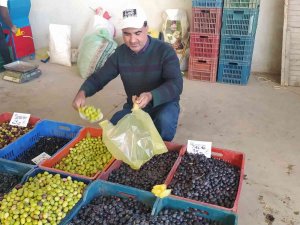 Hisarcık Halkı Salamura Zeytin Yapımına Yöneldi