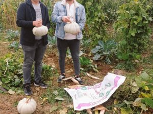 Hobi Bahçesinin Mahsullerini Öğrenciler Topladı