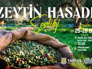 Tarsus Zeytin Hasat Şenliği Yarın Başlıyor