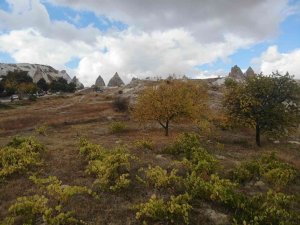 Kapadokya’da Sonbahar Güzelliği