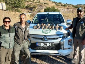 Tunceli’de Avlanma İhlali Gerçekleştiren 5 Kişi Hakkında İşlem Başlatıldı