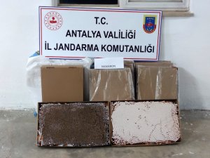 Alanya’da Bir Yolcu Otobüsünde 36 Bin Adet Hazır Makaron Ele Geçirildi