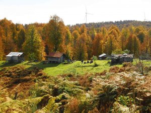 Sonbahar Tonları Arasında Unutulmaz Deneyim Yaşadılar