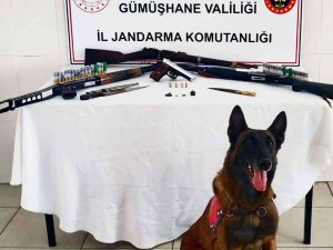 Kaçak Silah İmalathanesine Yapılan Baskında Roma Dönemine Ait Sikkeler Ele Geçirildi