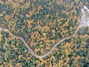 Karabük’teki Türkiye’nin En Büyük Blok Ormanlarında Sonbahar Renkleri Hakim Oluyor