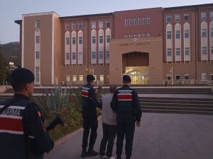 Fetö Firarisi Jandarma Uygulamasında Yakalandı
