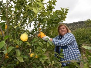 Başkan Erdem’den Yatırımcılara Çağrı: "Tarım İçin Ceyhan’ı Seçin"