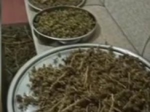 Beykoz’da Mahallede Yayılan Kokunun İzini Süren Polis, 7 Kilo Uyuşturucu Buldu