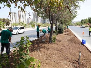 Mersin’de 5 Büyük İlçede Refüj Düzenlemesi Yapılıyor