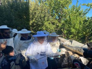 Milletvekili Arvas Karakovan Bal Hasadı Yaptı