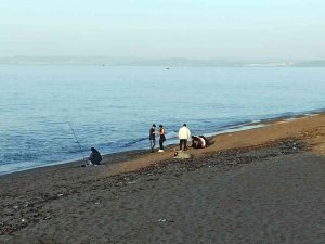 Karadeniz’de Güneşin Tadı Sahilde Çıktı