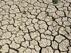 Ege, Son 20 Yılın En Kurak Sezonunu Yaşıyor