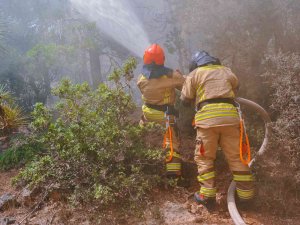 Akkuyu Ngs’de Acil Durum Birimleri İçin Eğitim Seminerleri Düzenlendi