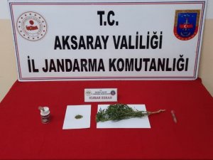 Aksaray Jandarmadan Uyuşturucu Operasyonu
