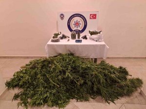 Bursa’da Kenevir Tarlasına Dönen Eve Baskın