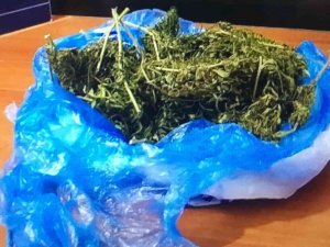 Ordu’da Yağ Bidonu İçerisinde Uyuşturucu Madde Ele Geçirildi