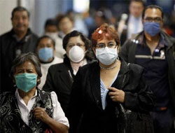 Domuz Gribi hakkında bilinmesi gerekenler