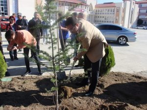 Kaymakam Öğrencilerle Birlikte Ağaç Dikti