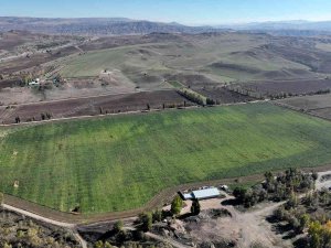 Buğdaydan Sonra Pancarda Da Rekor Üretim