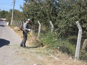 Efeler’de Yabani Ot Temizliği