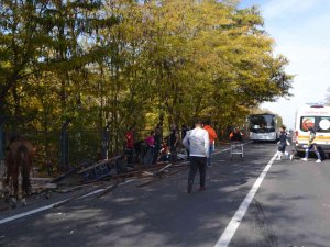 Çorlu’da Can Pazarı: Otomobilin Çarptığı At Arabası Hurdaya Döndü, Yaralı Yakınları Sinir Krizi Geçirdi