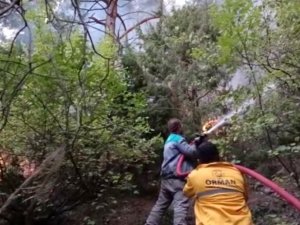 Osmaniye’deki Orman Yangınına Karadan Müdahale Başladı