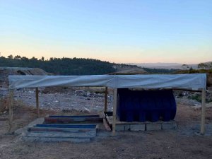 Soma Belediyesi’nden Doğal Yaşama Yemlik Ve Suluk