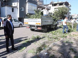 Yüreğir’de Temizlik Çalışması