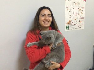 Evcil Hayvanlara Getirilen Çip Zorunluluğu Uygulanmaya Başlandı