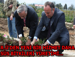 Süs Bitkiciliği için ilk adım